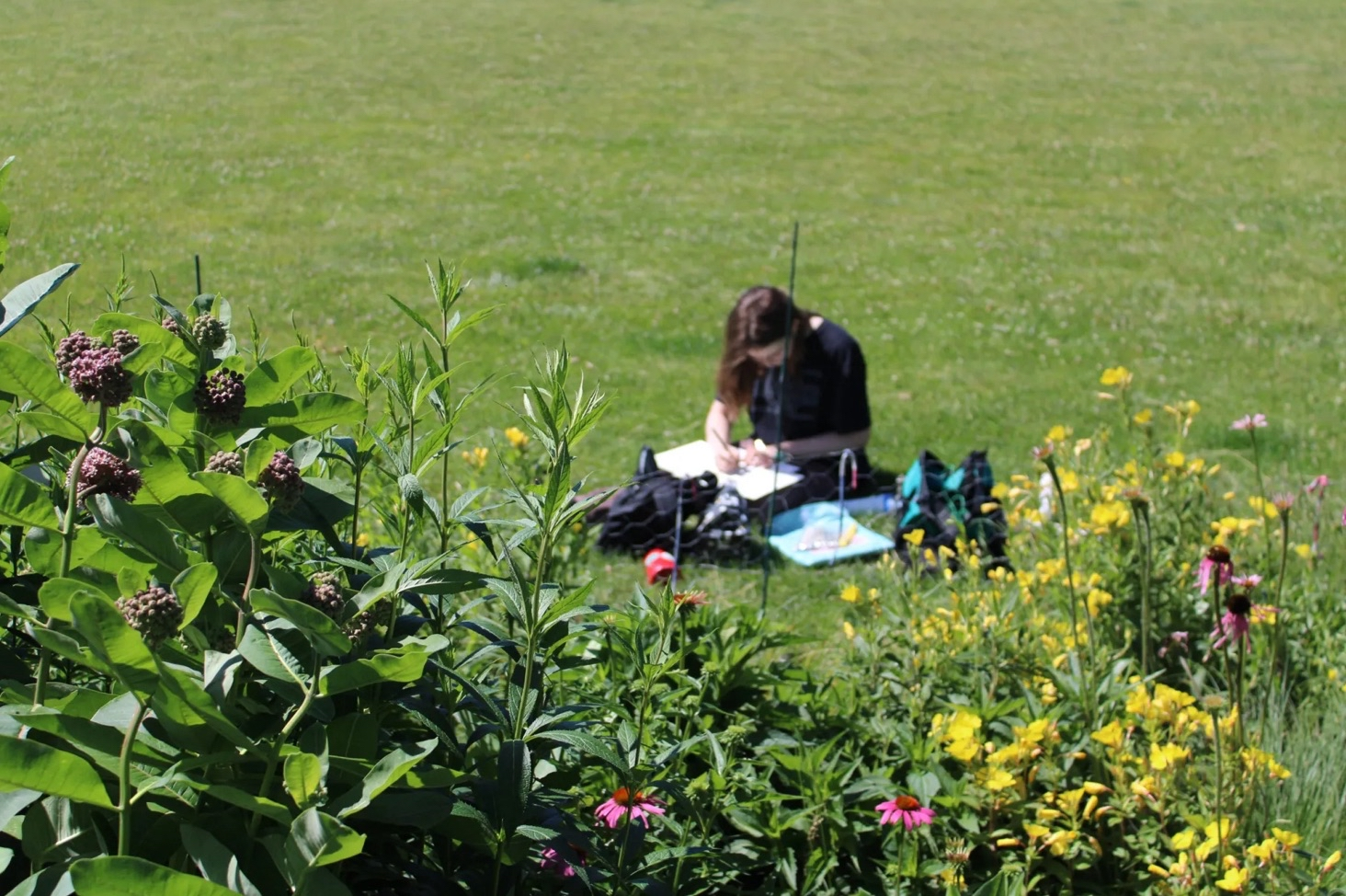 eloise having a picnic